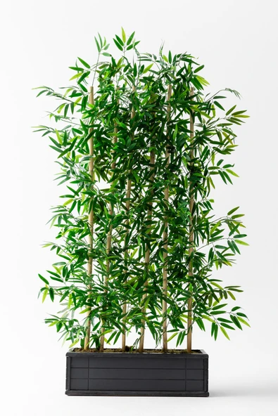 Yapay Bambu Seperatör Ahşap Antrasit Saksı 175 Cm ürün görseli