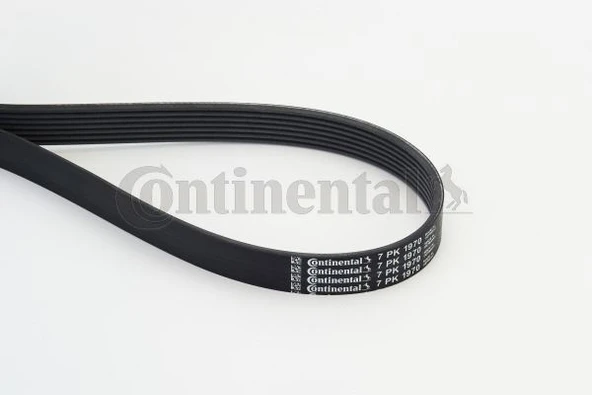 CONTI 7PK1970 KANALLI KAYIS MERCEDES ALFA ROMEO LANCIA NISSAN OPEL RENAULT TOYOTA A0039930196-8200356446-7PK1975 ürün görseli 1