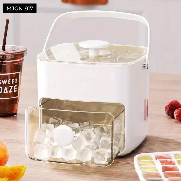 Buz Kalıp Ve Saklama Kutusu - Resim 2