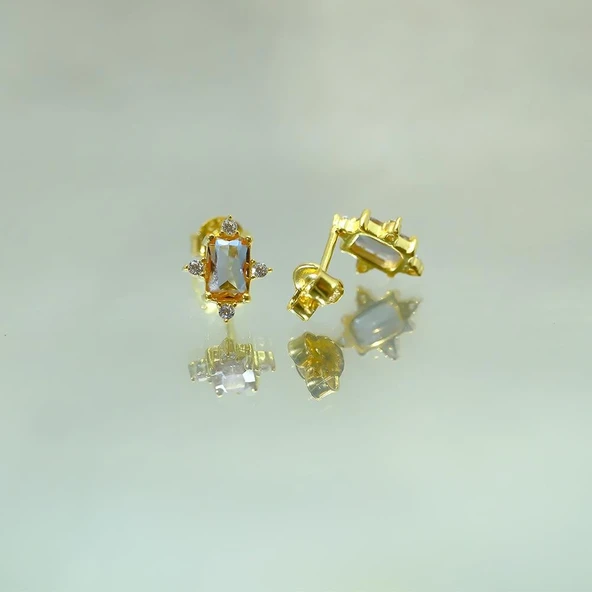 Gümüş Küpe - Kadın Octagon Kesim Zultanit (Renk Değiştiren)Taşlı 0.95 Karat Pırlanta Montörü 925 Ayar Gümüş Küpe - 4