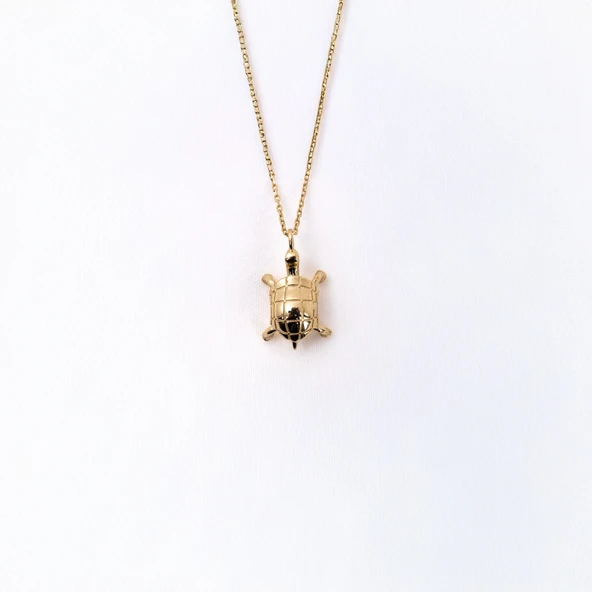 Gümüş Kolye - Taşsız Kaplumbaga Minimal Modern Gümüş Kolye - Hediyelik Kaplumbaga Gümüş Kolye - 6