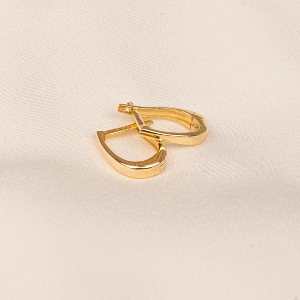 Gümüş Küpe - 925 Ayar Gümüş Oval Halka Küpe - 4