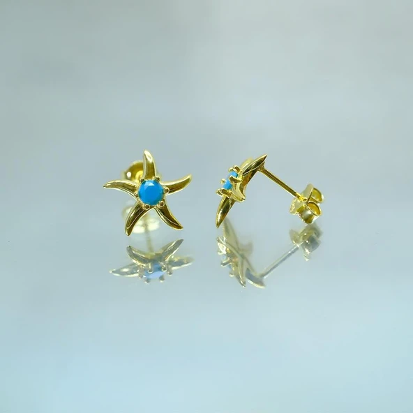 Gümüş Küpe - Kadın Yuvarlak Firuze (Turkuaz) Taşlı Deniz Yıldızı 925 Ayar Gümüş Küpe - 3