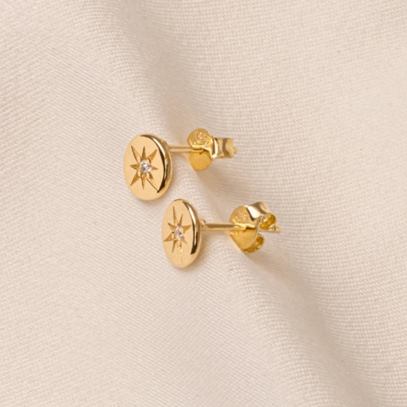 Gümüş Küpe - 925 Ayar Gümüş Kutup Yıldızı Taşlı Küpe - 5