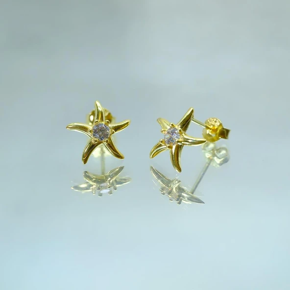 Gümüş Küpe - Kadın Yuvarlak Zirkon Taşlı Deniz Yıldızı 925 Ayar Gümüş Küpe - 2