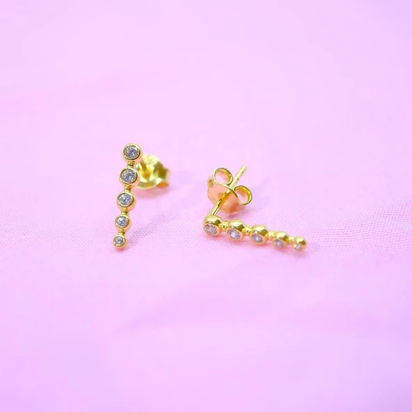 Gümüş Küpe - 925 Ayar Sıra Taşlı Modern Tasarım Zirkon Taşlı Gümüş Küpe