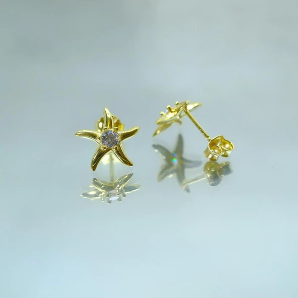 Gümüş Küpe - Kadın Yuvarlak Zirkon Taşlı Deniz Yıldızı 925 Ayar Gümüş Küpe - 3