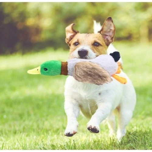 Sesli Ördek Şekilli Peluş Köpek Oyuncağı ürün görseli 1