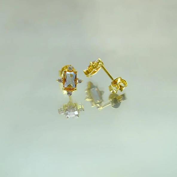 Gümüş Küpe - Kadın Octagon Kesim Zultanit (Renk Değiştiren)Taşlı 0.95 Karat Pırlanta Montörü 925 Ayar Gümüş Küpe - 3