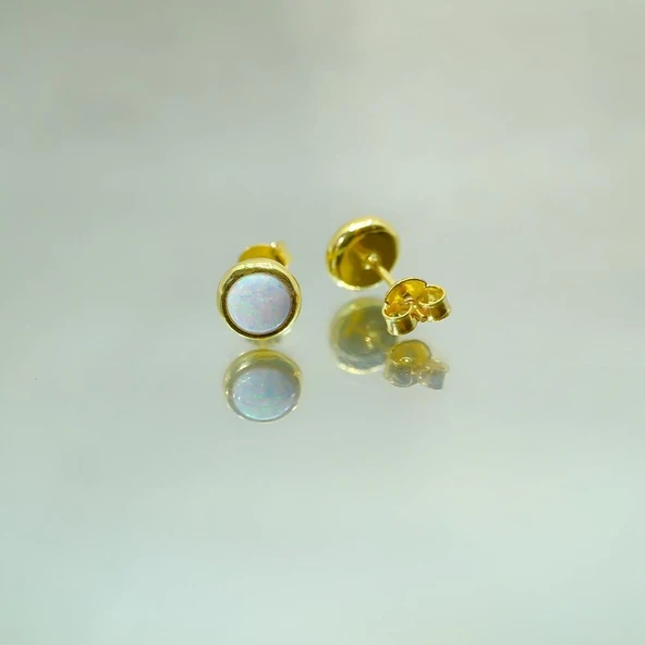 Gümüş Küpe - Kadın Yuvarlak Opal Taşlı 925 Ayar Gümüş Küpe - 3