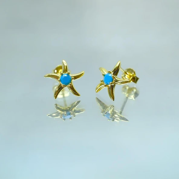 Gümüş Küpe - Kadın Yuvarlak Firuze (Turkuaz) Taşlı Deniz Yıldızı 925 Ayar Gümüş Küpe - 2