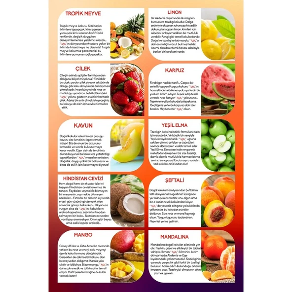 Koku Hanem Aşk-I Sermest Turuncu Ahşap Standlı 30 Adet 12 ml Hindistan Cevizi & Yasemin Araç Parfümü Oto Araba Kokusu - Resim 5