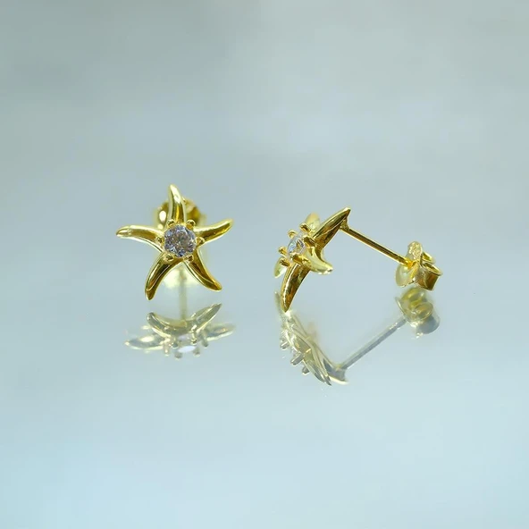 Gümüş Küpe - Kadın Yuvarlak Zirkon Taşlı Deniz Yıldızı 925 Ayar Gümüş Küpe - 4