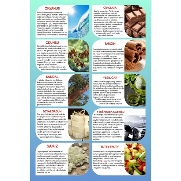 Koku Hanem Aşk-I Sermest Pembe Ahşap Standlı 120 Adet 12 ml Bahar Esintisi Araç Parfümü Oto Araba Kokusu - Resim 4