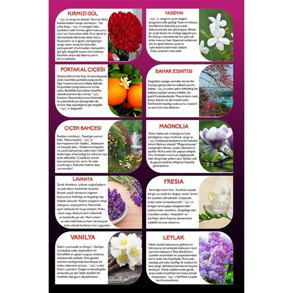 Koku Hanem Ölümsüz Aşk Mix Serisi Çilek & Sakız 10 Adet 12 ml Heybet Şişe Oto Kokusu Araç Araba Parfümü - Resim 5