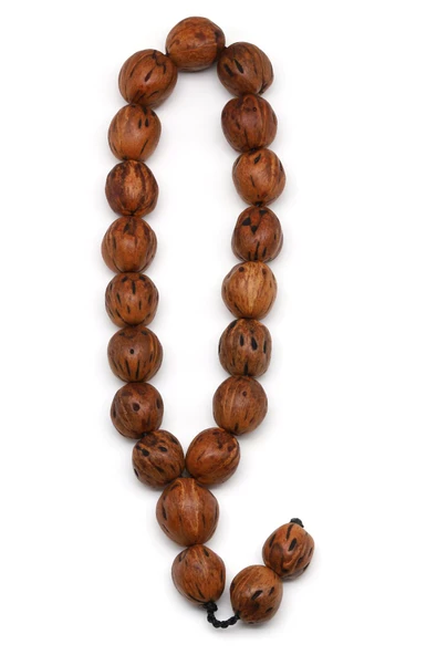 Maskot Efe Andız Tesbih 15 x 17 mm Şekilsiz Kesim - T-1564 - Resim 2