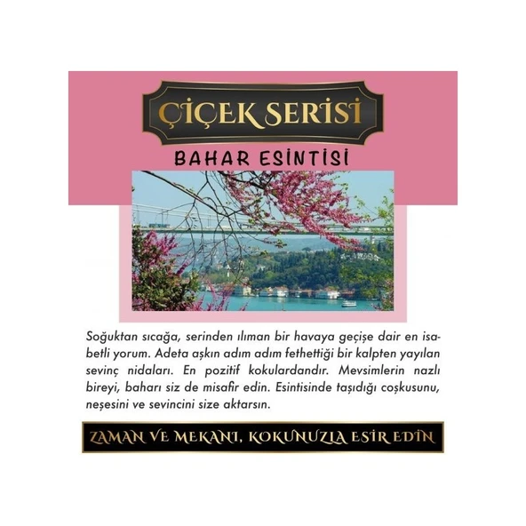 Koku Hanem Ölümsüz Aşk Çiçek Serisi Bahar Esintisi 10 Adet 12 ml Elma Şişe Oto Kokusu Araç Araba Parfümü - Resim 2