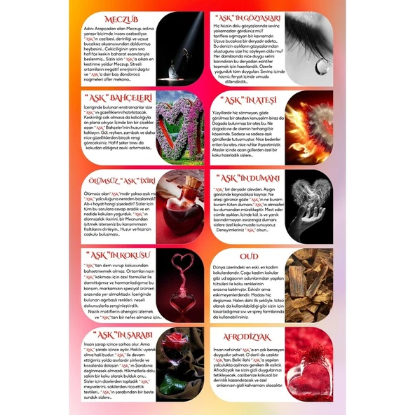 Koku Hanem Meczub Aşk Serisi Aşk Bahçeleri 10 Adet 8 ml Silindir Şişe Oto Kokusu Araç Araba Parfümü - Resim 5