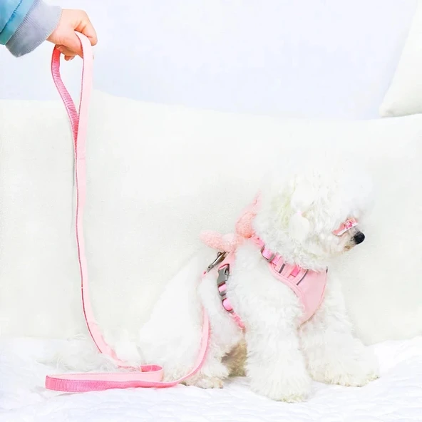 Evcil Hayvan Peluş Ayıcıklı Göğüs Gezdirme Tasması Set - Resim 4