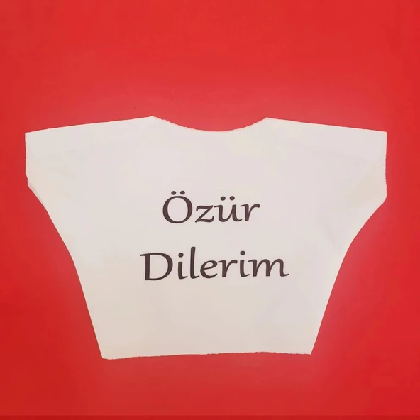Özür Dilerim Yazılı Peluş Oyuncak Ayı Tişörtü - 2