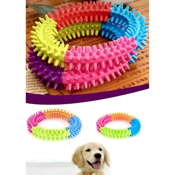 Köpek Isırma Diş Kaşıma Çemberi ürün görseli 1