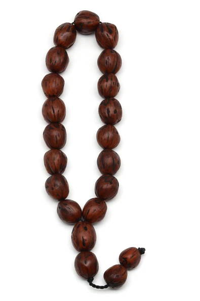 Maskot Efe Andız Tesbih 15 x 17 mm Şekilsiz Kesim - T-1566 - Resim 2