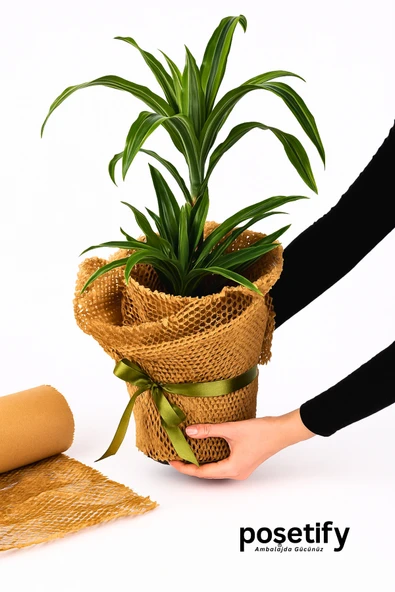 POŞETİFY Petek Dolgu Ambalaj Kağıdı 50cm x 10m | Esnek Kraft Paketleme ve Koruyucu Dolgu Kağıdı - Resim 2