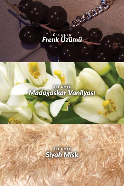 Far Away Klasik Glamour ve Rebel Kadın Parfüm Paketi - 6