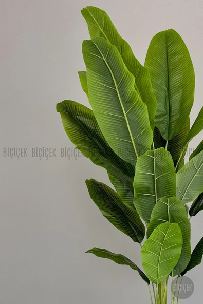 BİÇİÇEK Yapay Muz Ağacı 200 cm lux dış mekan saksıda - Resim 2