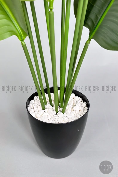 BİÇİÇEK Yapay Muz Ağacı 145-185 cm - Resim 6