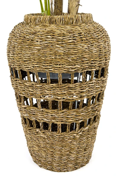 BİÇİÇEK Luxury Monstera Bitkisi 180cm Hasır saksıda bohem3 - Resim 8