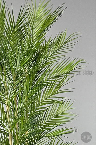 BİÇİÇEK Yapay Areka Ağacı Palmiye Ağacı 33 Yapraklı Bambu Gövdeli Mocca Kumsal Saksı Salon Çiçeği 150cm - Resim 4