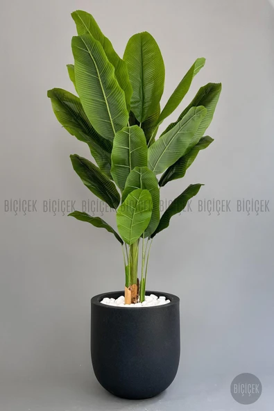 BİÇİÇEK Yapay Muz Ağacı 200 cm lux dış mekan saksıda - Resim 5