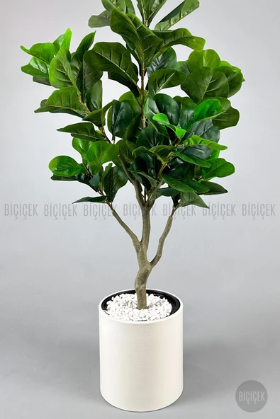 BİÇİÇEK Keman Yapraklı Kauçuk Bitkisi Fiddle Lyrata Metal Saksı - Resim 5