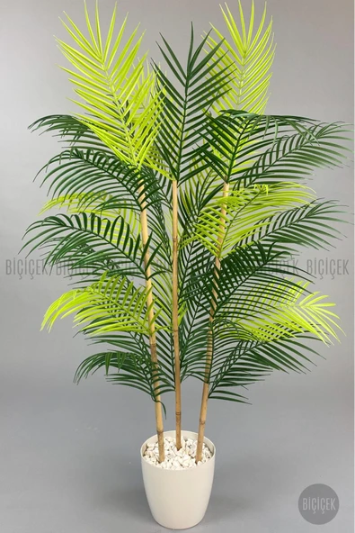 BİÇİÇEK 115cm Areka Ağacı 24 yapraklı yakut Saksıda - Resim 6