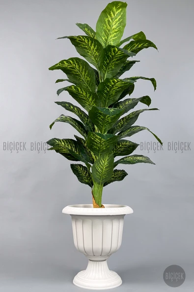BİÇİÇEK Difenbahya 200 Cm Yapay Bitki Ağaç - Resim 8