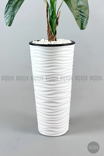 BİÇİÇEK Muz ağacı tek gövde 125-175 cm - Resim 6