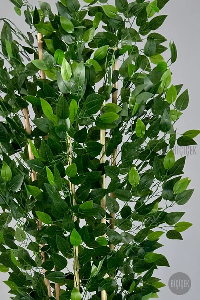 BİÇİÇEK Yapay Bambu ve Benjamin 6 dallı Yoğun Yapraklı 220 cm - Resim 3