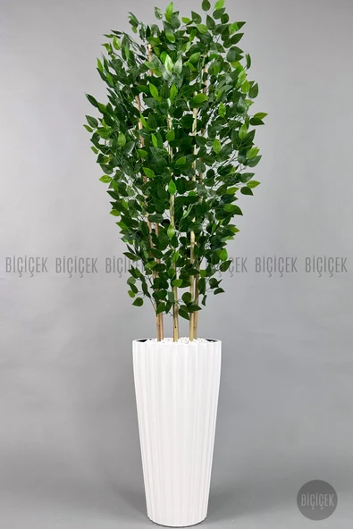 BİÇİÇEK Yapay Bambu ve Benjamin 6 dallı Yoğun Yapraklı 220 cm - Resim 6