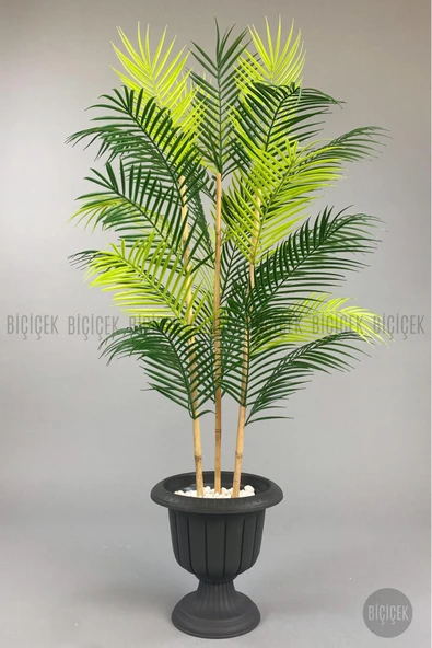 BİÇİÇEK 125cm Areka Ağacı 24 yapraklı Nergiz Saksıda ürün görseli