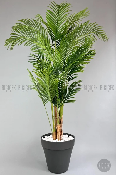 BİÇİÇEK YAPAY AREKA AĞACI  BÜYÜK BOY PALMİYE AĞACI 4 BAMBU GÖVDELİ 220CM ANTRASİT RENK YALI SAKSIDA - Resim 5