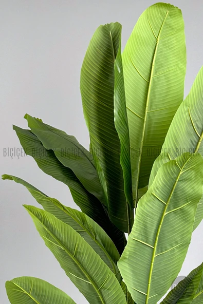 BİÇİÇEK Yapay Muz Ağacı 185-220 cm - Resim 5