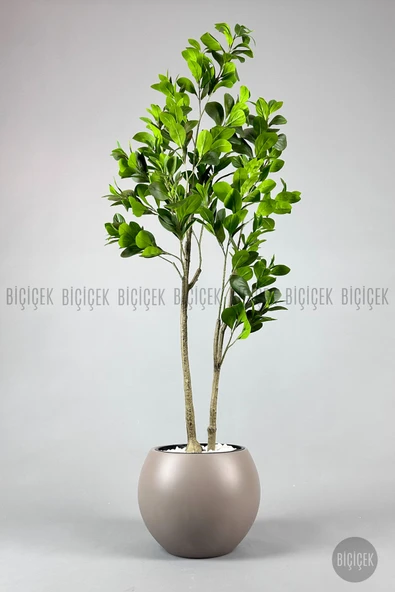 BİÇİÇEK Yapay Manolya Ağacı 150-180cm - Resim 5