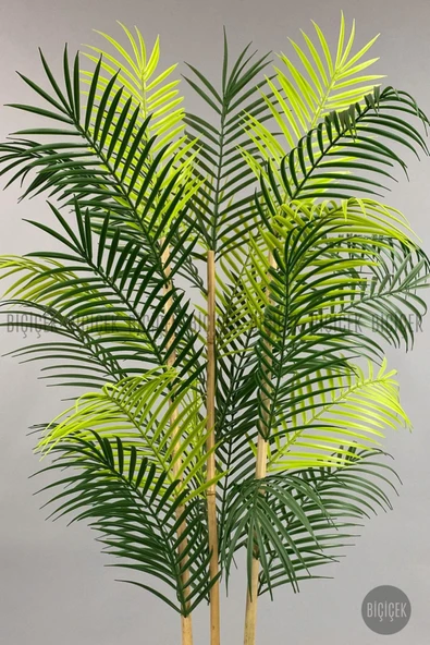 BİÇİÇEK 120cm Areka Ağacı 24 yapraklı Küre Saksıda - Resim 8