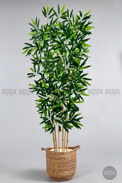 BİÇİÇEK Yapay Bambu Ağacı 6 dallı 150 cm yoğun yapraklı ürün görseli