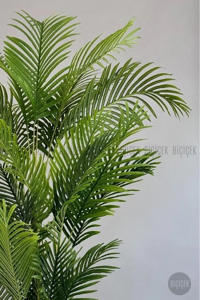 BİÇİÇEK Yapay Areka Palmiyesi 200 Cm Kırıkbeyaz Yakut Saksıda - 6