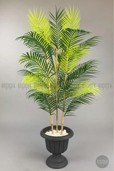 BİÇİÇEK 125cm Areka Ağacı 24 yapraklı Nergiz Saksıda - Resim 2