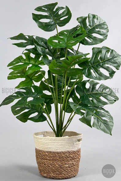 BİÇİÇEK Yapay Monstera Deve Tabanı 65-70 cm ürün görseli