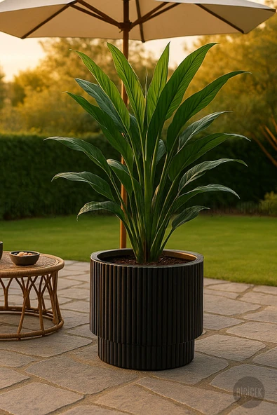 BİÇİÇEK VEGA Saksı 37 CM ve İç Kova Dahil - Resim 5