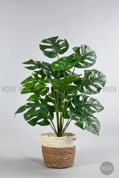 BİÇİÇEK Yapay Monstera Deve Tabanı 65-70 cm - Resim 6